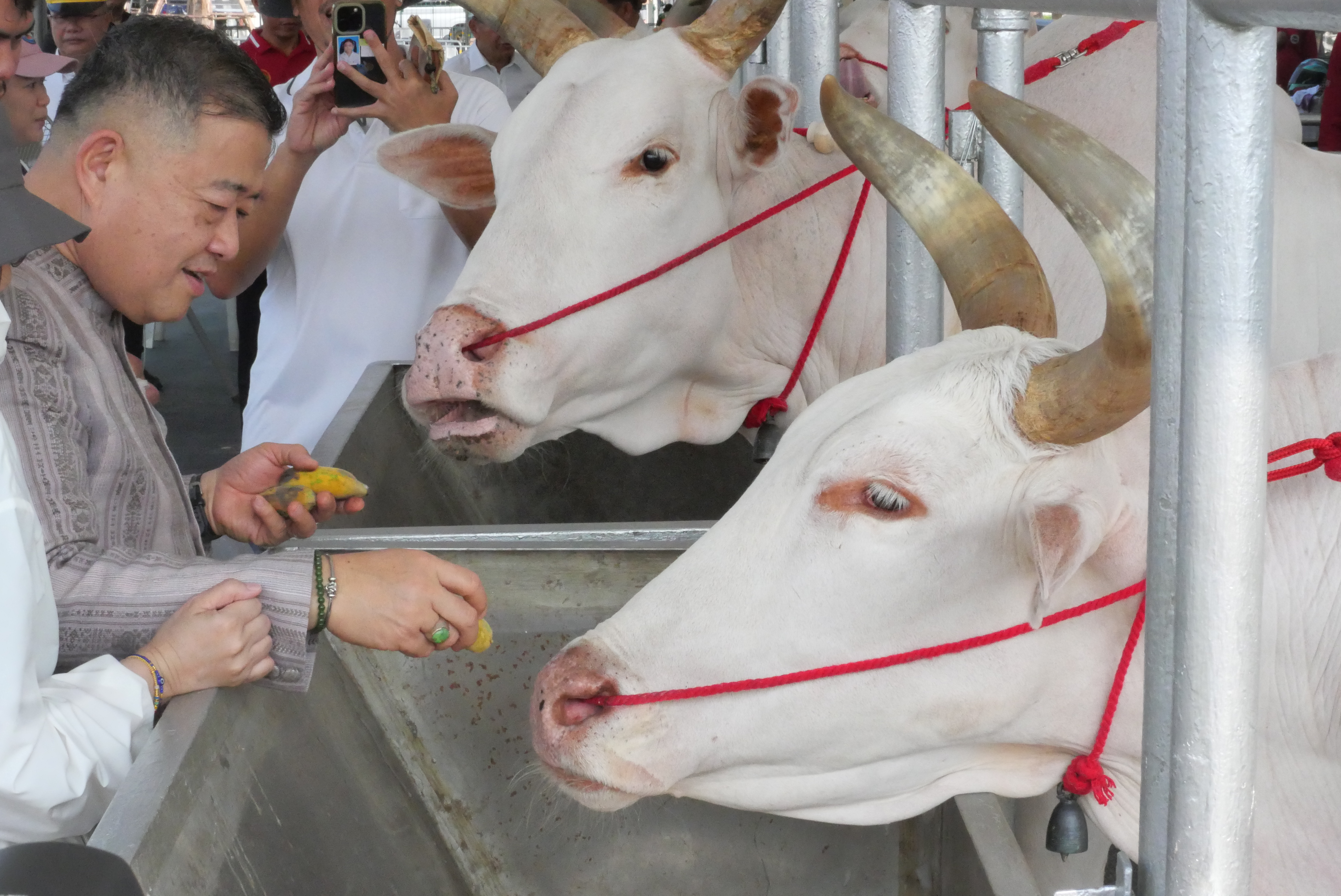 title - ส.ป.ก. ร่วมซ้อมย่อย ครั้งที่ 2 พระราชพิธีพืชมงคลจรดพระนังคัลแรกนาขวัญ ประจำปีพุทธศักราช 2569